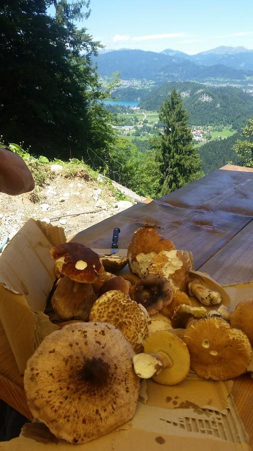 Koca Na Talezu Bed & Breakfast Ribno Exterior foto