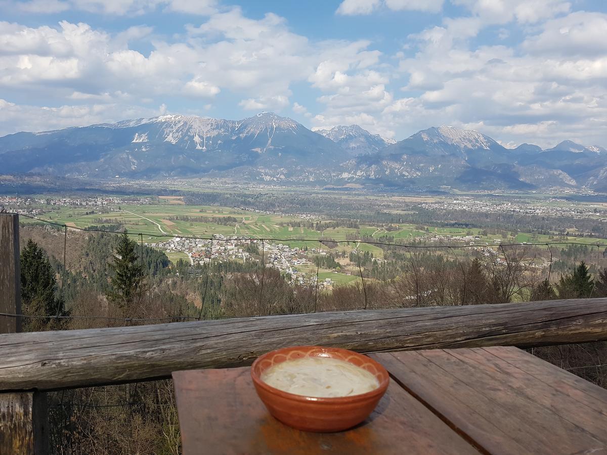 Koca Na Talezu Bed & Breakfast Ribno Exterior foto